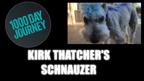1000 Day Journey 0277 Kirk Thatcher's PUNK Schnauzer