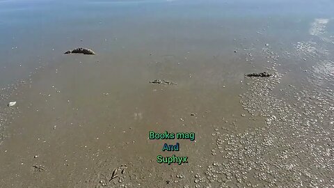 #asmr Walk on the beach