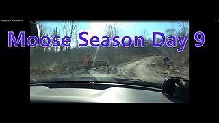 Moose Season 2021 Day 9