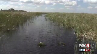 South Florida Water Management asks for more money for the Everglades