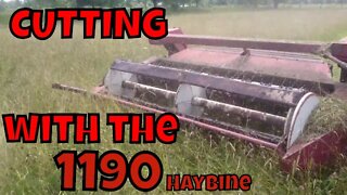 Cutting with the 1190 haybine