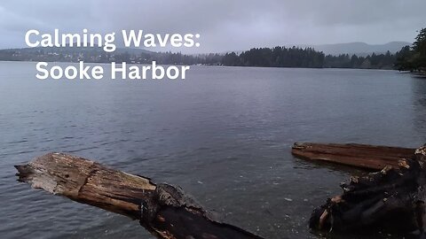 Sooke Harbor waves, great for relaxation, meditation, falling asleep or calming background ambience.