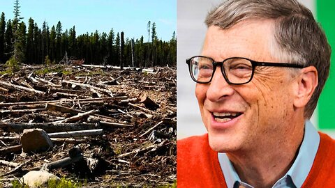 Bill Gates Has Bizarre HATRED of Trees
