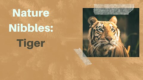 Nature Nibbles: Tiger