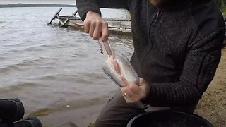 Awesome Fish Gutting Tip You Should Learn!