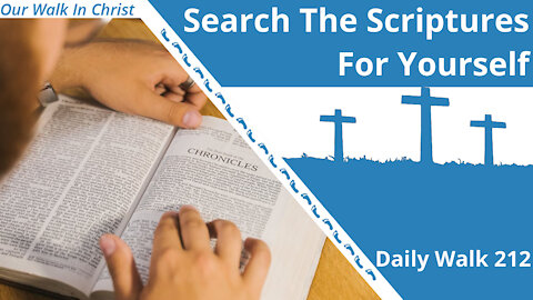 Search The Scriptures For Yourself | Daily Walk 212