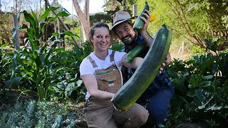What to do with so much Zucchini? Here's 5 easy and delicious recipes - Free Range Homestead Ep 31
