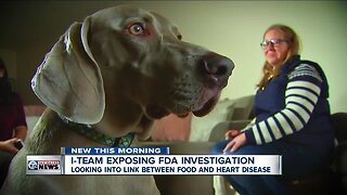 I-TEAM: Dog owners may want to rethink grain-free food