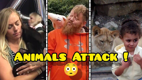 Animal Attacks Caught on Camera!