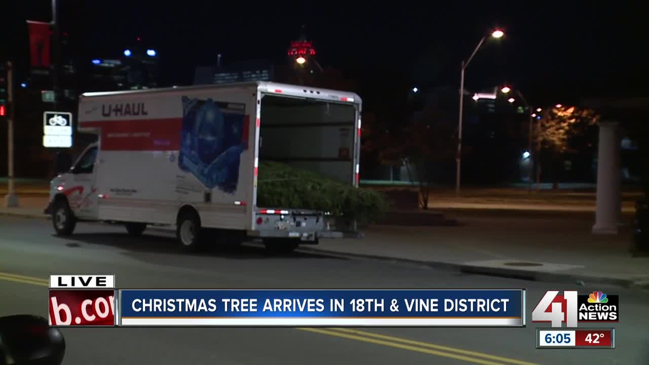 Christmas tree arrives in 18th and Vine District
