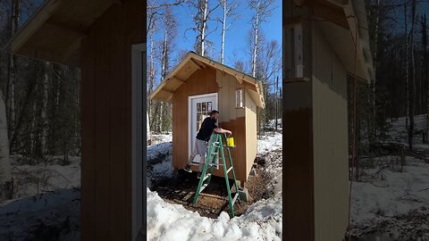 Staining the new chicken coop!🐓Alaska SPRING projects! #Shorts #HomeFreeAlaska #OffGrid #Alaska