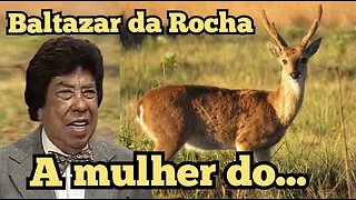 Escolinha do Professor Raimundo; Baltazar da Rocha, a mulher do...😂😂