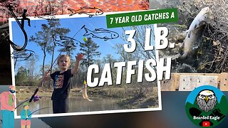 7 year old lands ~3 pound channel catfish off the dock on a pond [Eagle Lake]