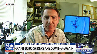 Andy Davis: These Spiders Won't Bother You If You Don't Bother Them