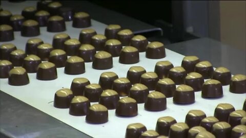 Malley's Chocolates plans reopen 7 locations