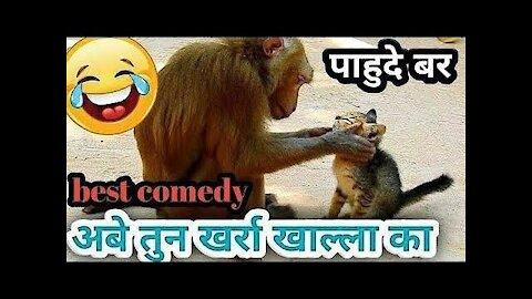Lakshmi kant bhise😆😆 comedy video || # funny videos || comedy