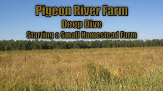 Deep Dive Starting A Small Homestead Farm part 1