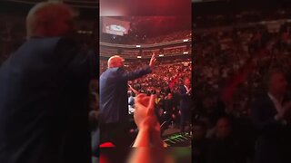 UFC crowd goes wild as Trump waves