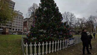 Boston Common Christmas Tree 4K - Vlog Walking Tour The Common Winter Christmas 🌳🌲🫎🌎⚡🚆🚉🚅