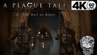 (PART 10) [X - The Way of Roses] A Plague Tale: Innocence