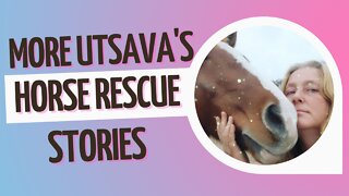 MORE UTSAVA'S HORSE RESCUE STORIES