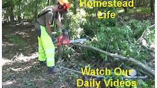 Dropping Trees & Breaking Stuff ~ Cleaning Jeep & More