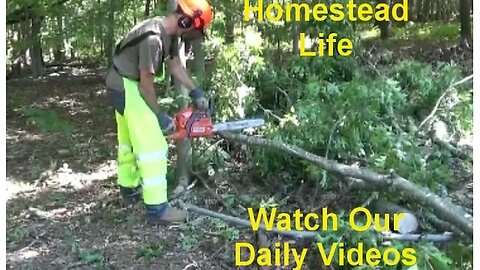 Dropping Trees & Breaking Stuff ~ Cleaning Jeep & More