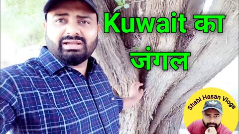 Kuwait Ka jangal