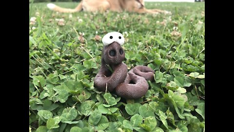 3D Printed Poo Snake