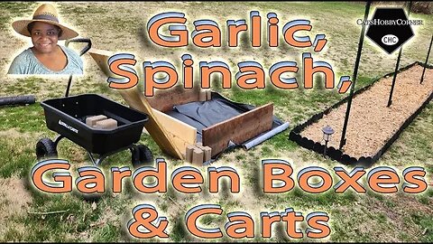 #garlic , #spinach & #gardenboxes - #catshobbycorner