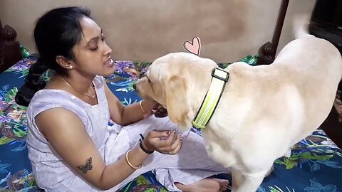 Mum is tired after long day. But Coco need his cuddles. Watch how gets his loving from Mum