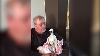 Baby Goat Falls Asleep In A Man’s Arms