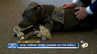Local company offers cannabis oils for animals
