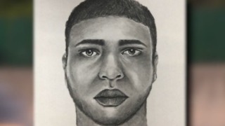 Florida Highway Patrol releases sketch of person who may have been involved in a deadly hit and run