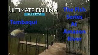 Ultimate Fishing Simulator: The Fish - Amazon River - Tambaqui - [00092]