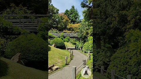 Tranquil Pathway under the Long Bridge | San Francisco Japanese Tea Garden