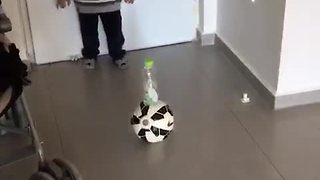 Toddler pulls off bottle flip off soccer ball