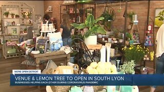Two very different South Lyon shops reopen for business