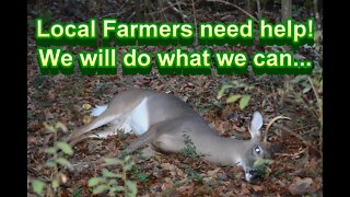 Local Farmers need help with Deer Control!