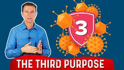 The 3rd Purpose of Your Immune System