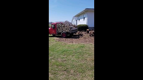 Ripping out stumps with an old Willys Jeep
