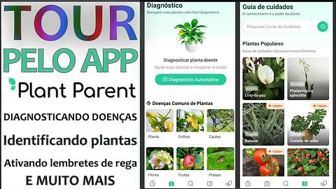 Tour pelo app Plant Parent - aprendendo como plantar e cuidar das plantas