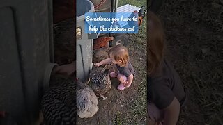 chickening 101 pt 3 chickens need help eating sometimes #shorts #video #homestead #chickens #farm