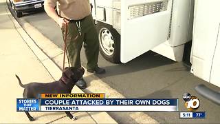 Elderly couple attacked by their dogs