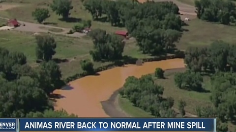 Animas River back to normal after mine spill