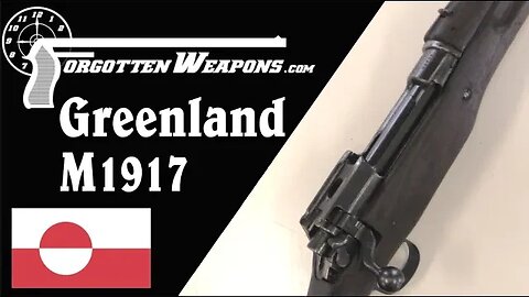 Hunting Rifles for Greenland: M1917 Enfield