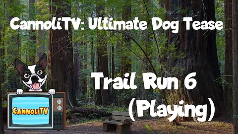 CannoliTV Video Library: Relaxing and Calming Dogs Trail Run - 06 #funnydog #cooldog #relaxingdog