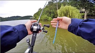 What REALLY Catches Bass - A Total Break Down