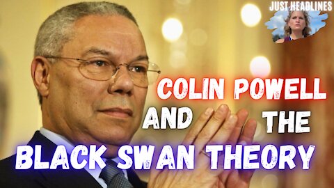 Just Headlines: Colin Powell And The Black Swan Theory