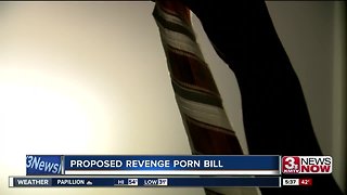 Revenge Porn Bill